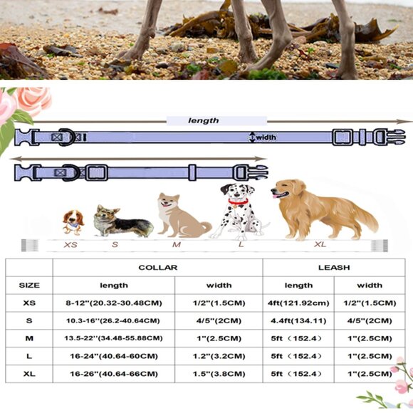 DOGWONG Dog Collar and Leash White - XS - Picture 5 of 5